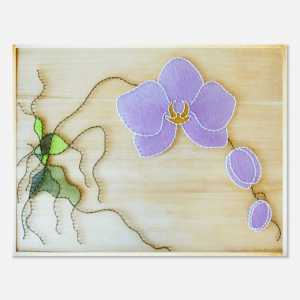 Fialová orchidej s poupaty